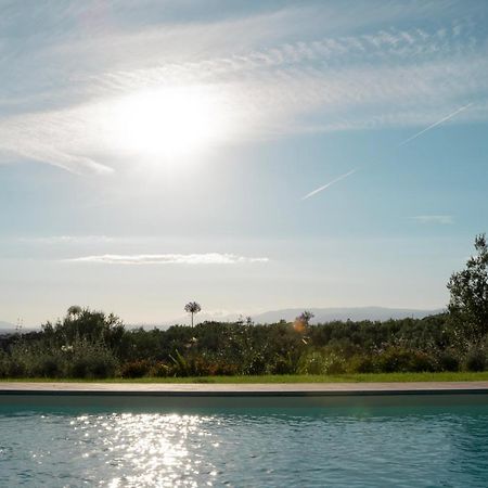 Glamping Suite Il Grillo Lamporecchio Exteriör bild