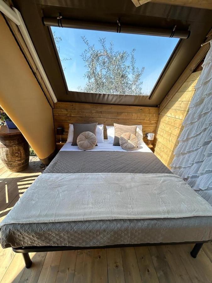 Glamping Suite Il Grillo Lamporecchio Exteriör bild