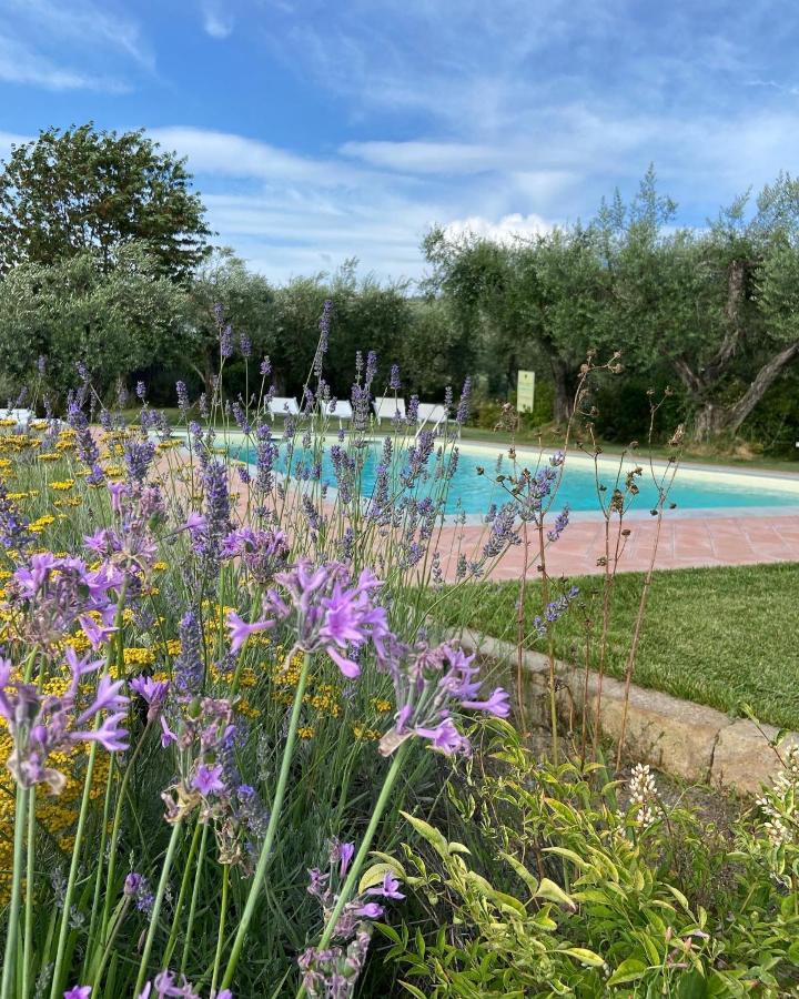 Glamping Suite Il Grillo Lamporecchio Exteriör bild