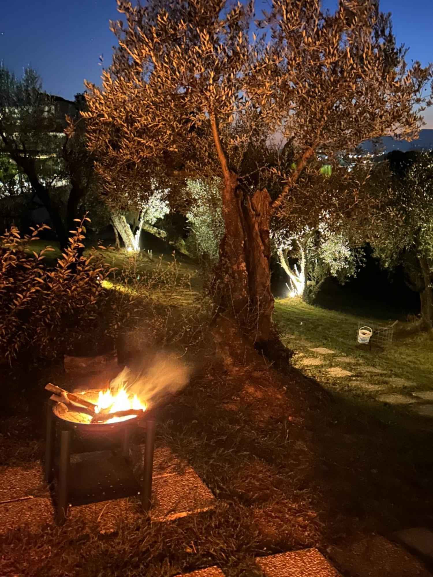 Glamping Suite Il Grillo Lamporecchio Exteriör bild